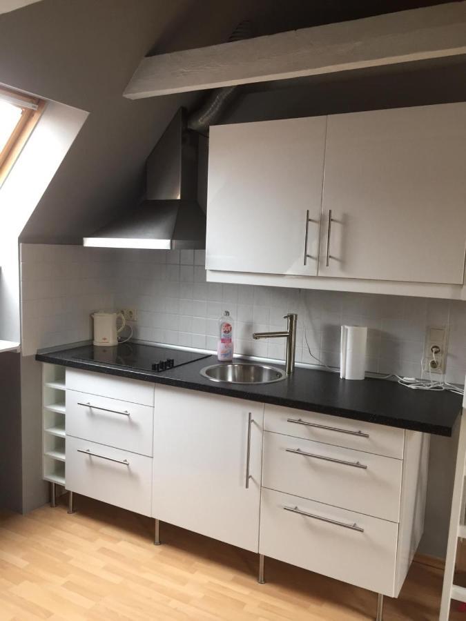 Riverview Loft In Central Herzogenaurach Eksteriør billede